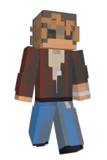 finfizz Minecraft avatar full body