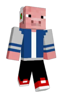 finmac1 Minecraft avatar full body