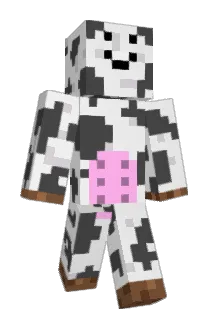 finn0718 Minecraft avatar full body