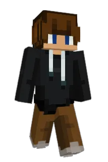 finnStocki Minecraft avatar full body