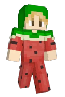 finnbodnar Minecraft avatar full body