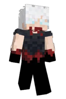 finsalin Minecraft avatar full body