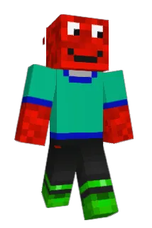 finus223 Minecraft avatar full body