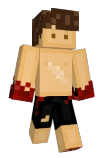 fiooore Minecraft avatar full body