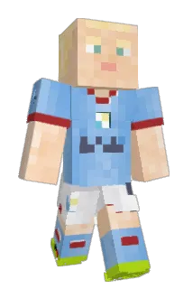 fiore05 Minecraft avatar full body