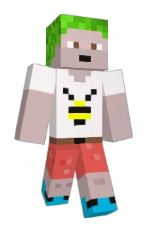 fippo1005 Minecraft avatar full body