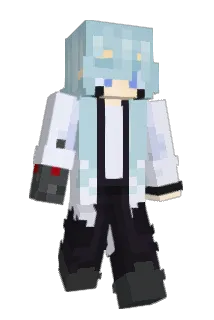 fish19356 Minecraft avatar full body