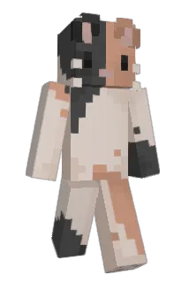 fiznnley Minecraft avatar full body