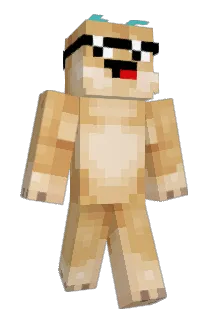fjr012 Minecraft avatar full body