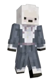 fjrdddd Minecraft avatar full body