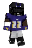 fjrjf Minecraft avatar full body