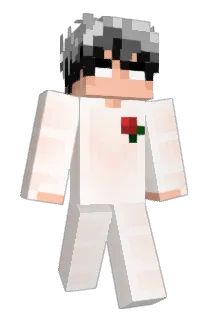 fjuniorr Minecraft avatar full body