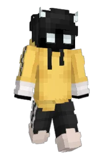 fl0wowp4rty Minecraft avatar full body