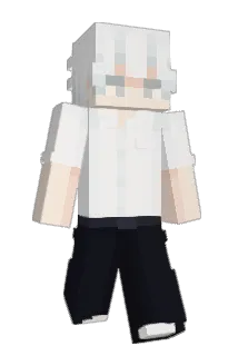 fl1nts Minecraft avatar full body