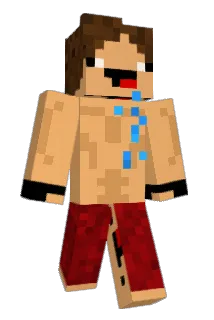 fl1ntt Minecraft avatar full body