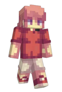 fl1spy Minecraft avatar full body