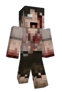 flach123 Minecraft avatar full body