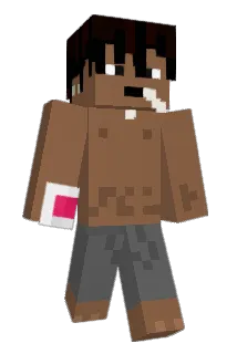 flacocaca Minecraft avatar full body