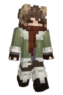flakoon Minecraft avatar full body