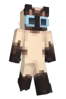 flappenwe Minecraft avatar full body