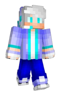 flash9387_ Minecraft avatar full body