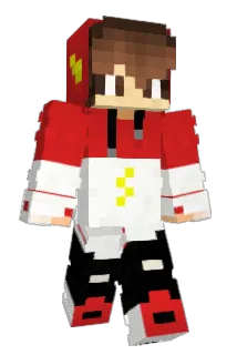 flashrin02 Minecraft avatar full body