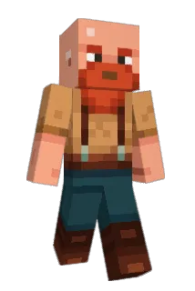 flatearther__ Minecraft avatar full body