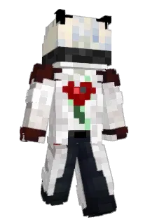flaviebdy Minecraft avatar full body