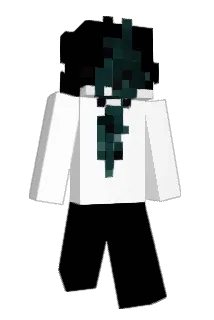 flawers_ Minecraft avatar full body