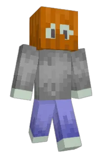 flax_ Minecraft avatar full body