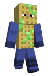 flemoid Minecraft avatar full body