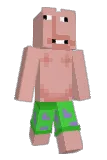 fleriJR Minecraft avatar full body