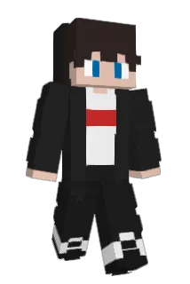 flewko Minecraft avatar full body