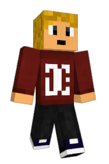 flido11 Minecraft avatar full body