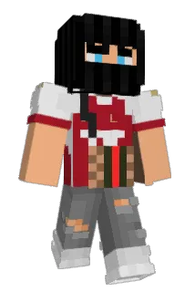 flightxss Minecraft avatar full body