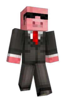 flip_312 Minecraft avatar full body