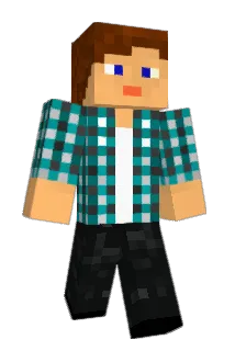 flipflip19 Minecraft avatar full body