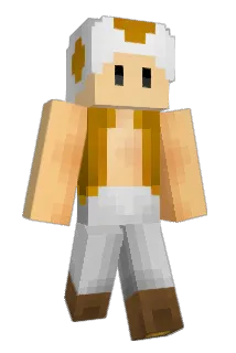 flipflopXX Minecraft avatar full body