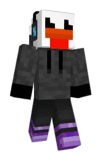 flipper493 Minecraft avatar full body
