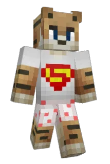 flipster64 Minecraft avatar full body
