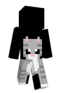 flocky2_0 Minecraft avatar full body