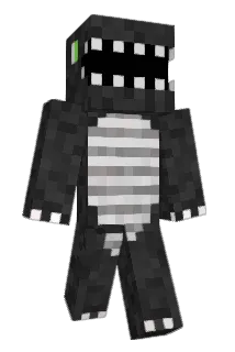 flojo789 Minecraft avatar full body