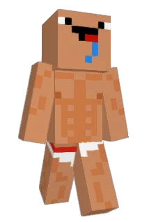 flokeys Minecraft avatar full body