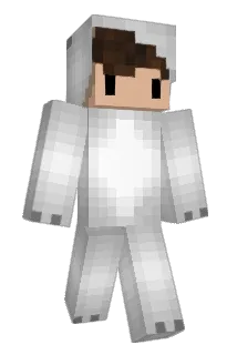 floninho Minecraft avatar full body