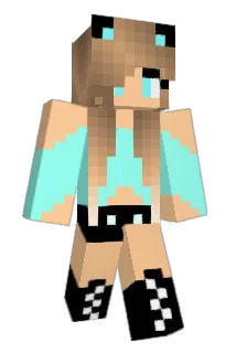 floodogymnast Minecraft avatar full body