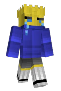 flooia Minecraft avatar full body