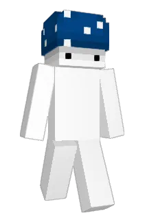 floorophobia Minecraft avatar full body