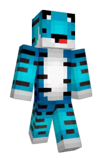 floorvnoort2003 Minecraft avatar full body