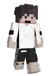 flopner Minecraft avatar full body