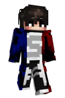 flowxl Minecraft avatar full body
